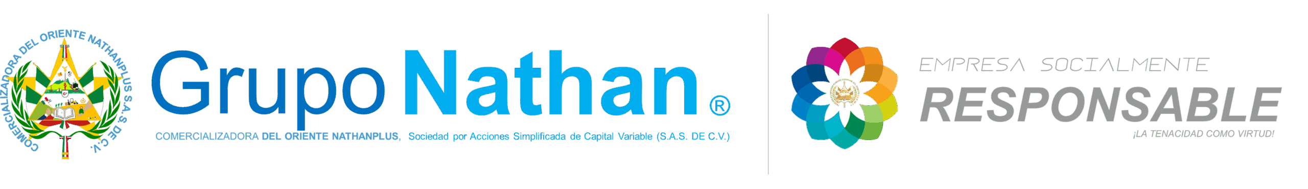 LOGO MATRIZ CORPORATIVO GODCO CON DISTINTIVO
