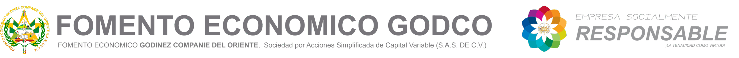 LOGO MATRIZ CORPORATIVO GODCO CON DISTINTIVO