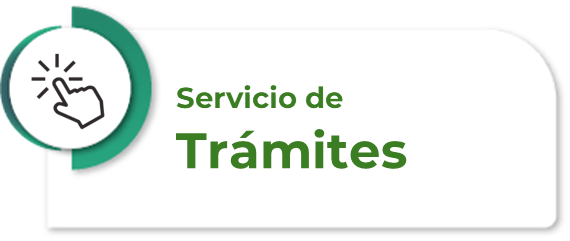imagen_2025-06-11_120419458