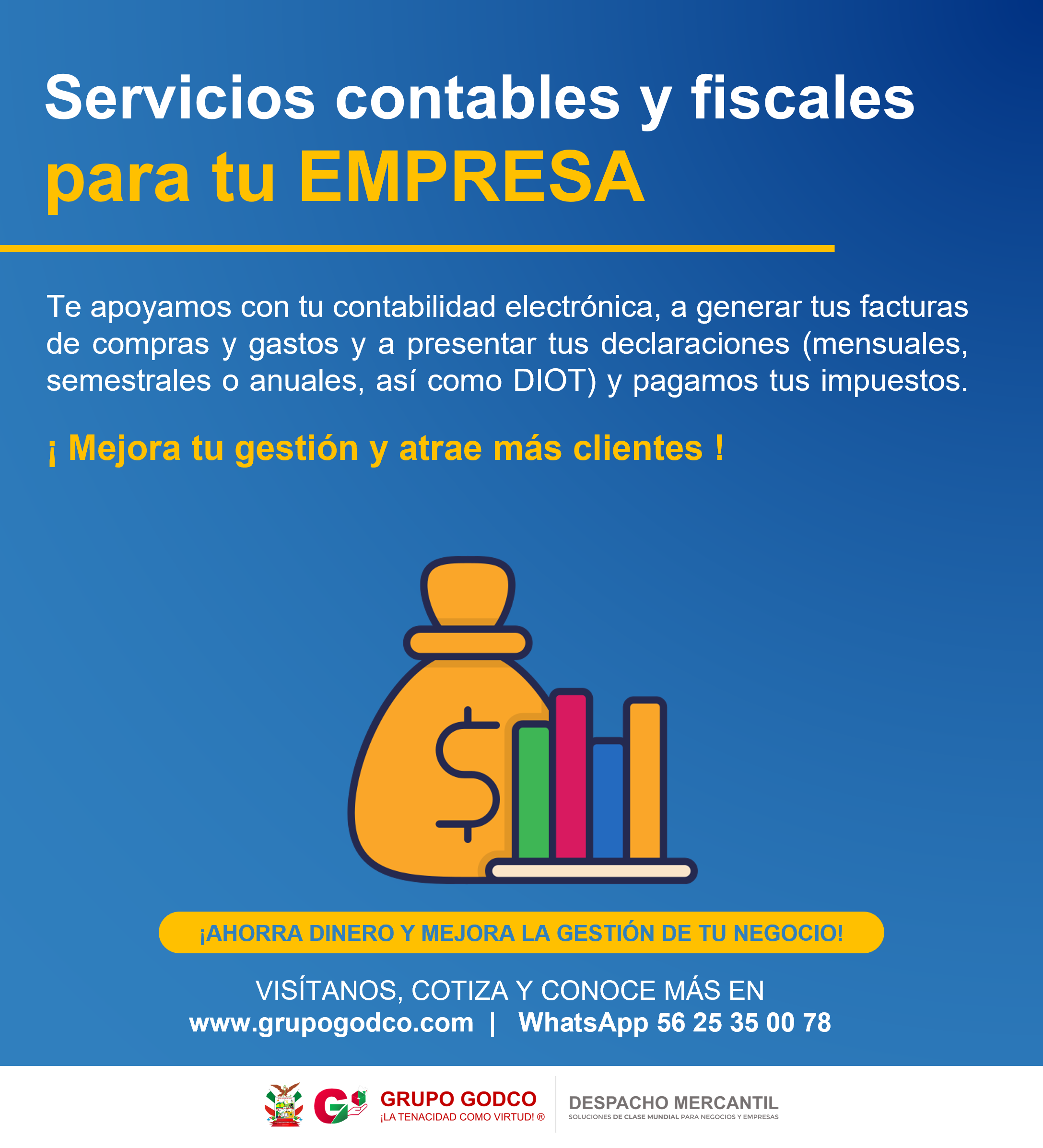 conta INFO conta INFO